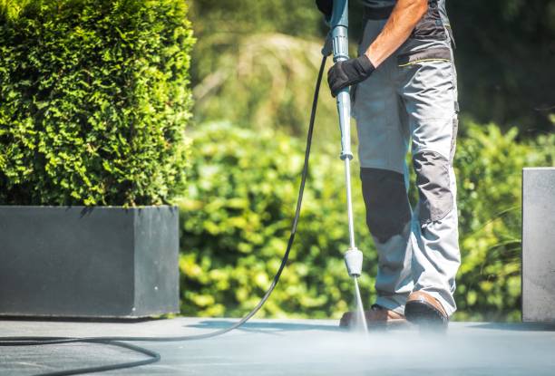 Best Roof Washing  in Speer, NC